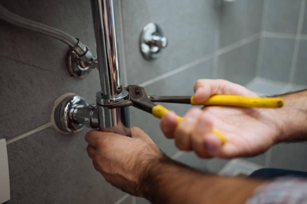 Best Plumbing Inspection Services  in Silver Lake, NJ